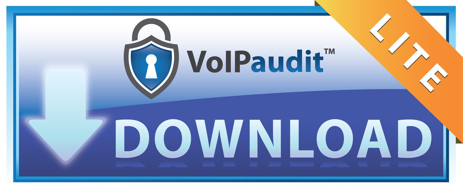VoIPaudit Lite.jpg